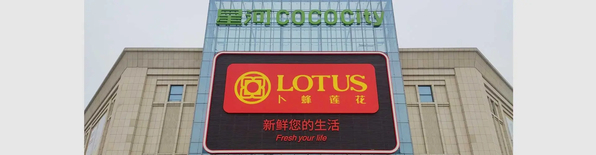 ケーススタディ-LOTUS